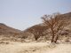 Wilder Oman - Wandern auf den Spuren der arabischen Götter 1