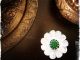 Blume der Erinnerung für Srebrenica - Symbol für eine bessere Zukunft 1